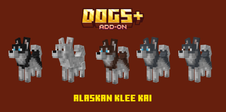 Dogs+ images